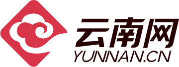 云南报业集团云南网 logo